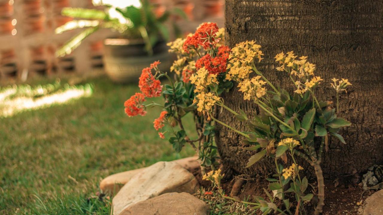 Chales Terraviva Pirenópolis Exteriér fotografie